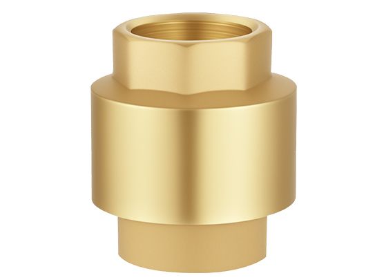 Brass Center Guide Check Valve