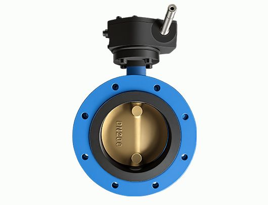 Cast Steel Double Flange Butterfly Valve
