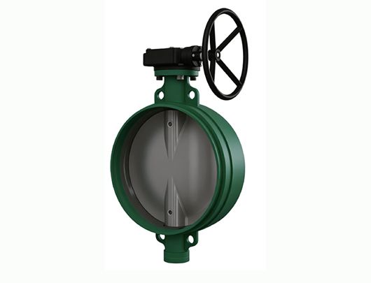 Grooved End Butterfly Valve