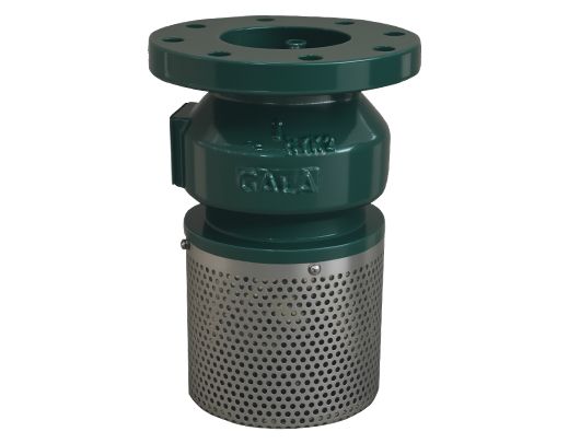 Foot Valve