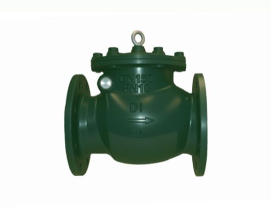 Swing Check Valve