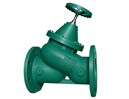 Multifunctional Check Valve