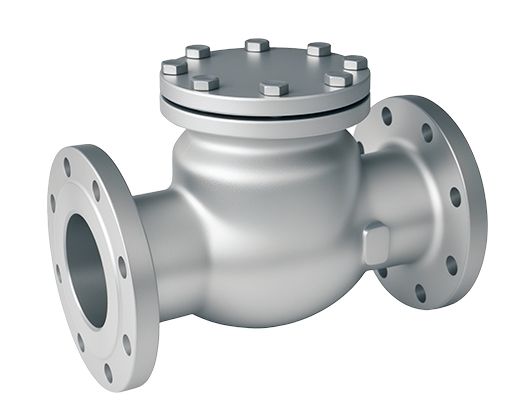 Stainless Steel Flange Swing Check Valve