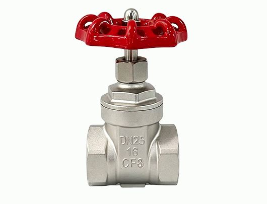 Stainless Steel Threaded Gate Valve