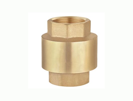 Brass Center Guide Check Valve