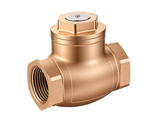 Bronze Check Valve