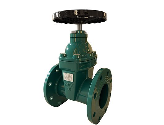 BS NRS Resilient Seated Gate Valve
